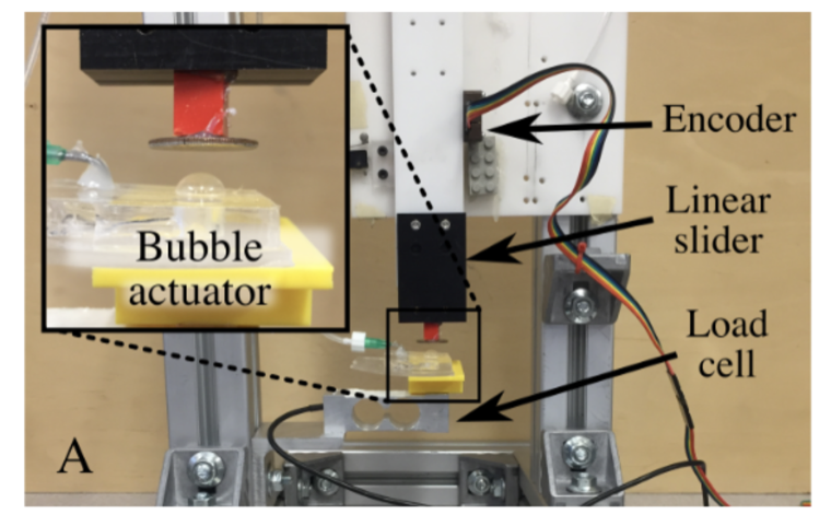 Pneu shape display apparatus